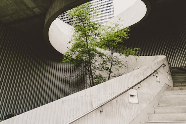 A Corrida por Fundos ESG: Vale a Pena Investir em Sustentabilidade?